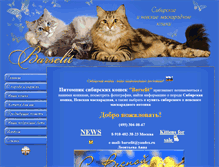 Tablet Screenshot of barselit.ru